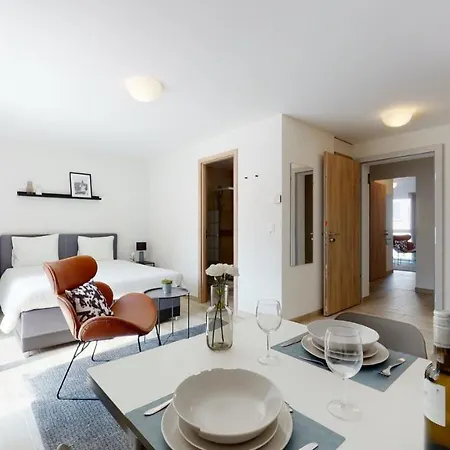 Apartment Furnished Studio #103 - Swiss